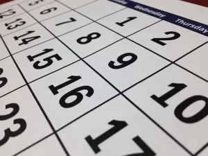 Programme Dates Programme Dates
